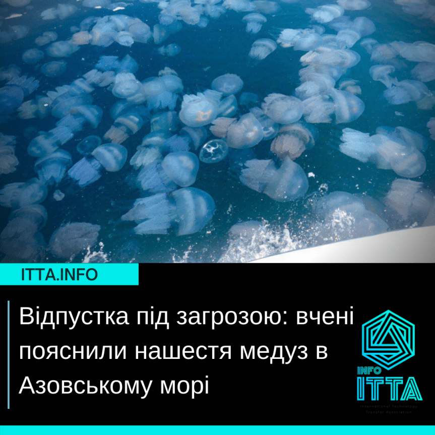 Отпуск под угрозой: ученые объяснили нашествие медуз в Азовском море