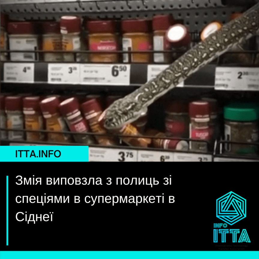 Змія виповзла з полиць зі спеціями в супермаркеті в Сіднеї