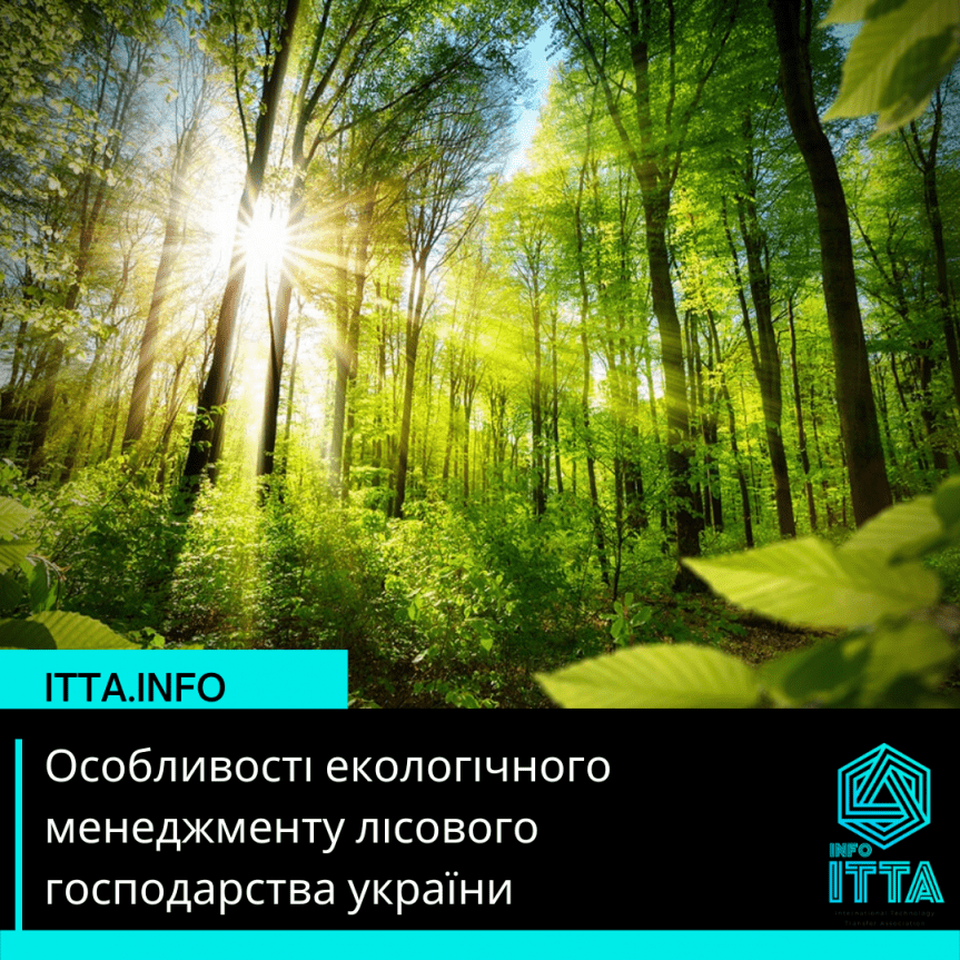  Особливості екологічного менеджменту лісового господарства україни